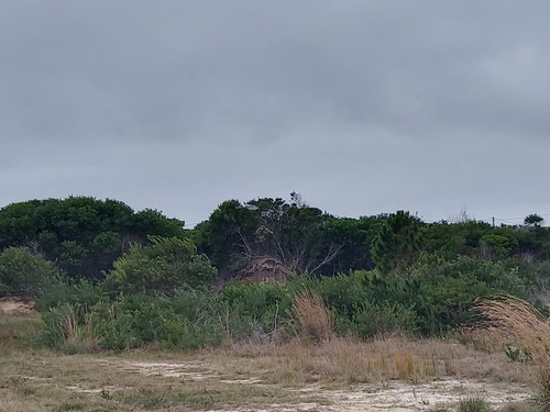 Terreno En Puimayen A Una Cuadra De La Playa 