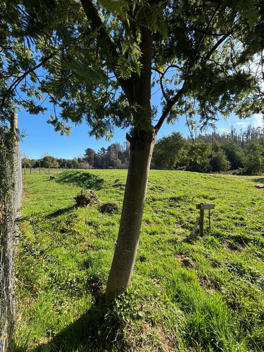 Venta Hermosos Sitios A 10 Min De Concepción