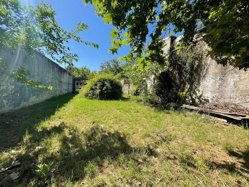 Imagen 14 de 15 de Venta Lote Punta Chica 412m2 - Vito Dumas