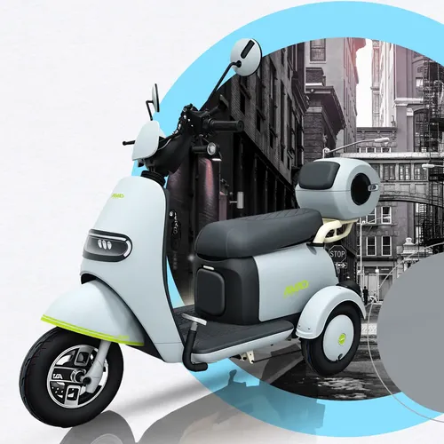 Triciclo Elétrico Adulto 800w 50km Alarme Suporta 3p Cava T3