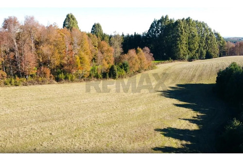 Terrenos 5.000 M² Cerca De Corralco, Curacautín.