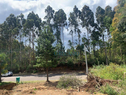 Terreno À Venda, 390 M² Por R$ 308.000,00 - Vivendas Do Arvoredo - Gramado/rs - Te0681