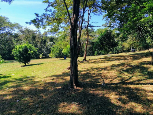 Imagen 4 de 11 de Terrena De 1 Hectárea Con Casa