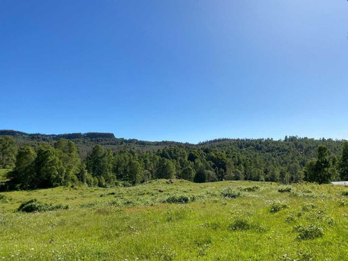 Campo, Localidad De Hueyusca (66783)