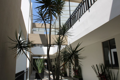 Imagen 4 de 9 de Departamento En Renta, Cuajimalpa De Morelos, Ciudad De México