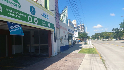 Excelente Local Comercial En Prolongaciòn De Paseo De Montejo