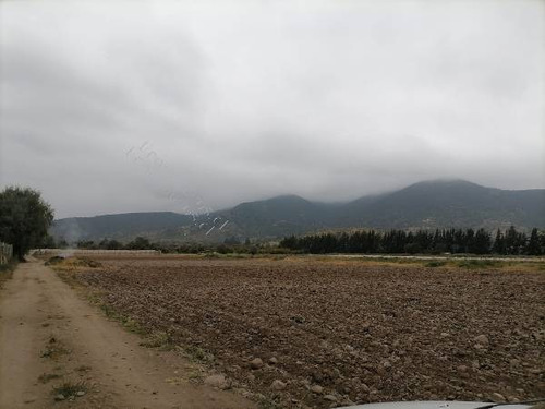 Vendo Parcela De Agrado Y Agrícola, Sector De Boco