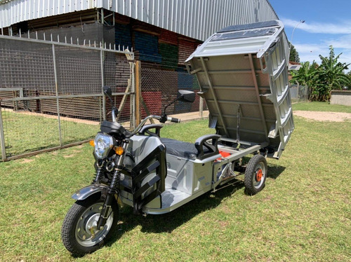 Tricargo Holt Artic Electric Motocarga Utilitario Sunra 0km