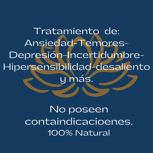 Imagen 6 de 7 de Clases De Yoga, Reiki, Ensueño Dirigido,terapia Floral Bach