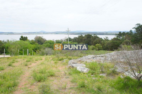 Imagen 2 de 10 de Chacra A La Venta En Laguna Del Sauce