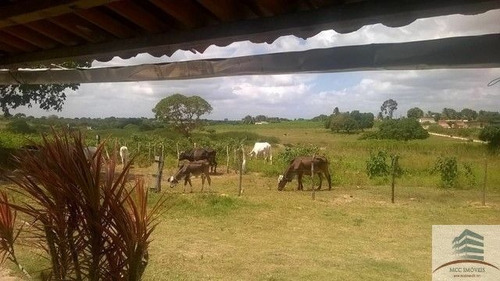 Imagem 2 de 4 de Granja A Venda Lagoa Salgada