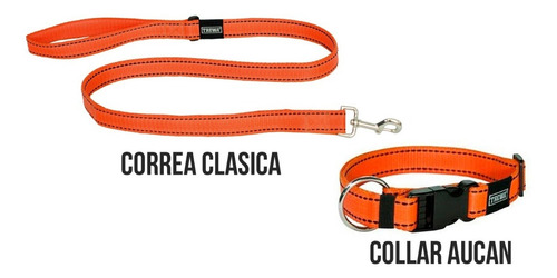 Combo Collar + Correa Trewa - Talle S