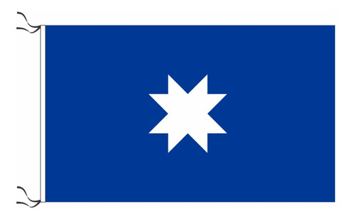 Bandera Mapuche Wunelfe Wuñelfe Weñelfe Guñelve 30 X 45 Cm 