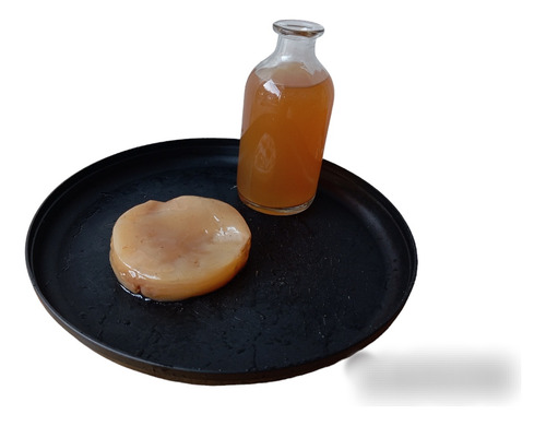 Madre De Kombucha U Hongos Scoby