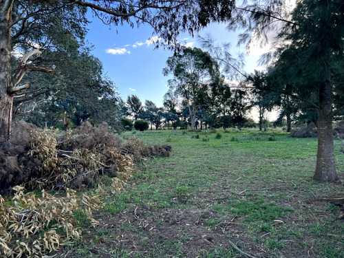 Imagen 14 de 17 de Atencion Inversor Amplia Parcela En Venta Sobre Ruta 20 Proxima A Las Lagunas De Chascomus Y Vitel