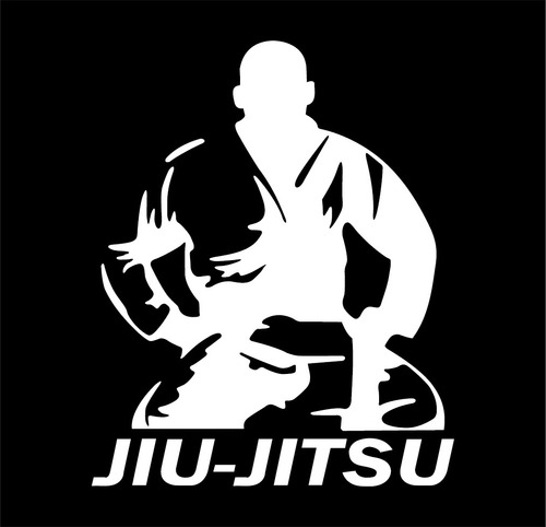 Adesivo Moto Carro Jiu-jitsu Mma Artes Marciais Luta 2 Unids