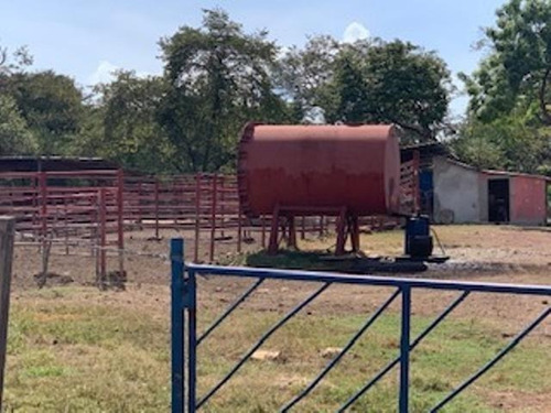 Imagen 14 de 23 de Venta De Finca Edo. Guarico, Pao Los Dos Caminos 1082 Hectáreas