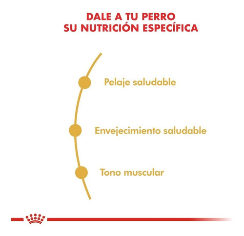 Royal Canin Caniche Adulto X 7.5kg Envio Gratis Amba