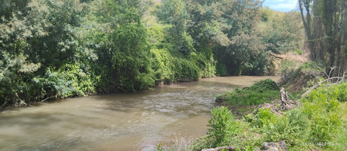 Parcela De 6,5 Ha En Comuna Rio Claro, Region Del Maule,