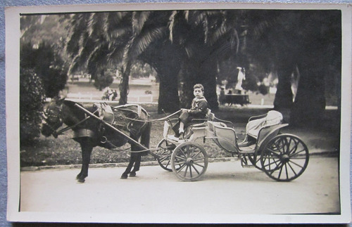 Foto Antigua Tarjeta Postal Niño En Parque Con Diligencia