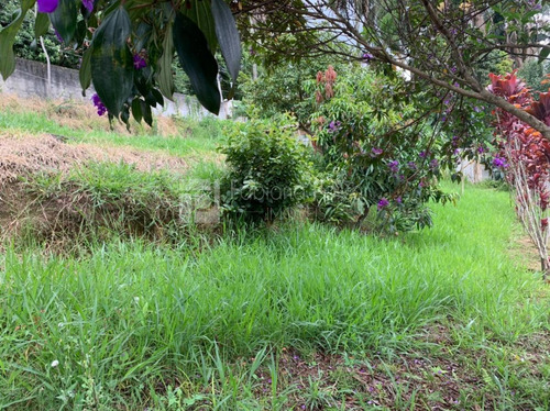 Terreno Para Venda Em Arujá, Jacarandas - Te0172_1-1723854