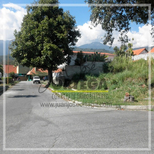 Imagen 5 de 9 de Terrenos En Venta. Urb. San Antonio.