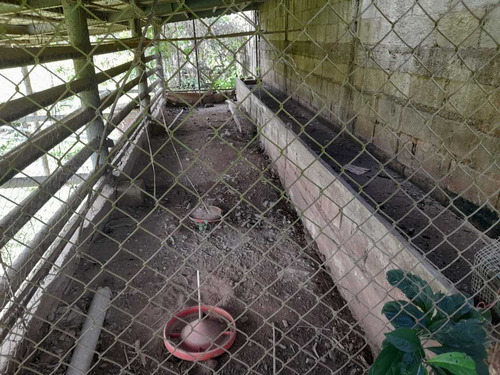 Imagen 17 de 30 de Finca En Guigue, 35 Hectareas. 5610462