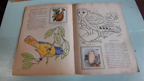 Álbum Figuritas Completo Galería De Pájaros De México (Usado)
