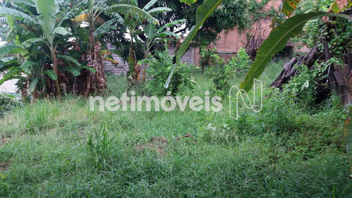 Imagem 8 de 11 de Venda Lote-área-terreno São Gonçalo Contagem - 742462