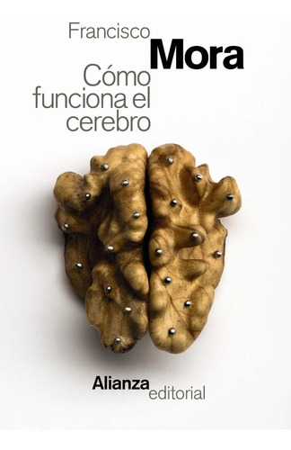 Como Funciona El Cerebro