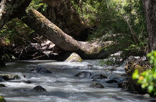 Vendo Parcela 5000m2 En Rinconada De Pucon Curarrehue