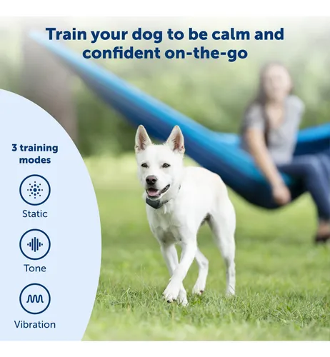 Petsafe - Collar De Entrenamiento Remoto Para Perros To.