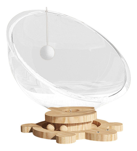 Cama Para Gatos En Cápsula Transparente, Cama Para L