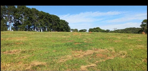 Imagem 5 de 27 de 06 Terreno A Venda Na Cidade De Igaratá!!!
