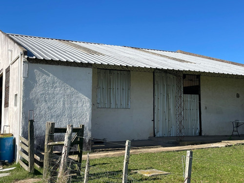 Campo De 11 Hectáreas Dividido En 5 Potreros Excelente Para Ganaderia En Rocha