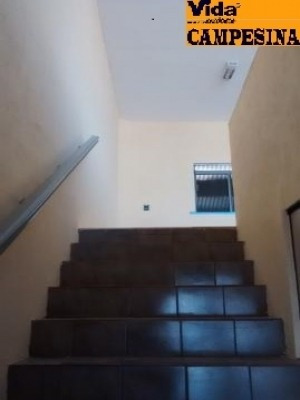 Imagem 14 de 14 de Ref.: 1561 - Galpao Em Osasco Para Venda - V1561