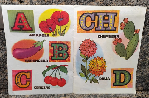 Cartilla Abc Flores Y Frutos Para Niños (Usado)