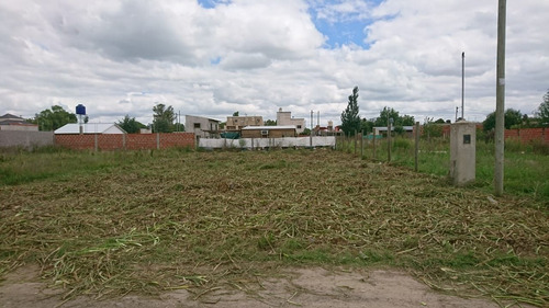 Imagen 2 de 4 de Terreno En Venta En Villa Rosa