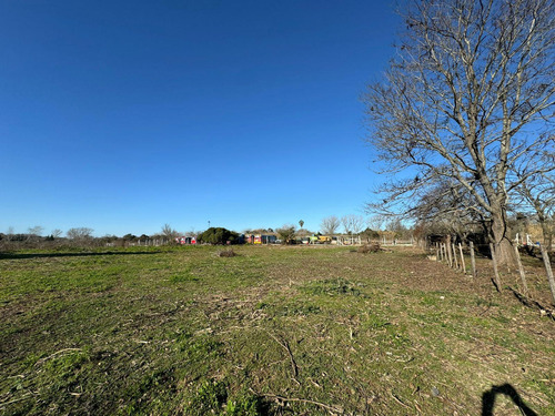 Venta Lote En Camino A Los Talas Berisso