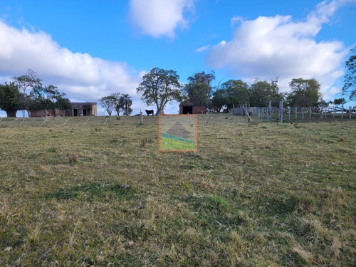 Imagen 4 de 29 de Campo 189hás Forestal/ganadero Rocha