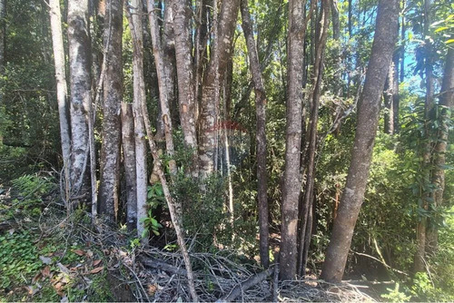 Venta Parcela C/ Acceso A Lago San Antonio Chiloe