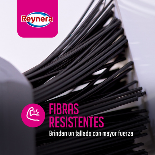 Kit De Cepillos Multiusos Para Cocina Y Baños | Set Para
