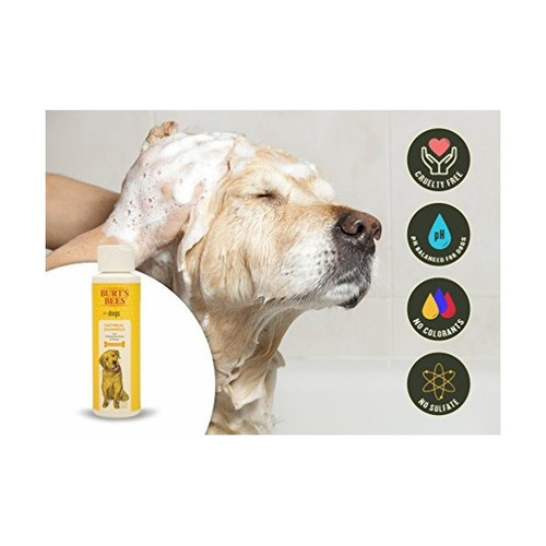 Las Abejas Champú Para Perros De Avena De Burt