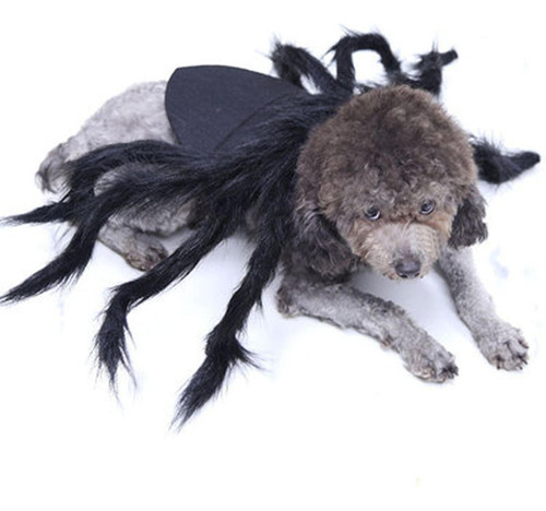 Simulación Pets Outfits Divertido Disfraz De Fiesta Para