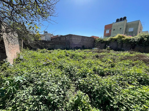 Imagen 6 de 8 de Alquiler Lote Baldio 1562m2
