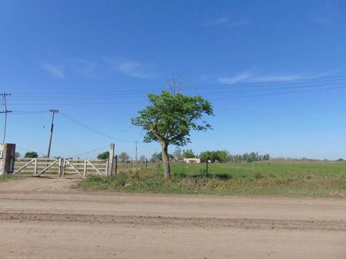 Campo 10 Hectáreas Con Vivienda
