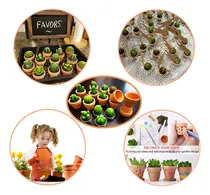 Comprar Suculentas Velas, Novedad Cactus Vela Vela De Bebé Ducha De La Vela Decoraciones Para Fiesta Favors Terrario Cactus Candels Decoración Del Hogar