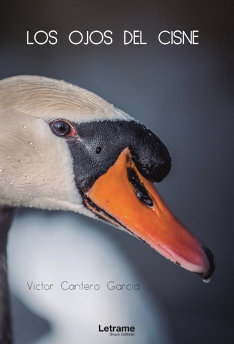 Libro Los Ojos Del Cisne