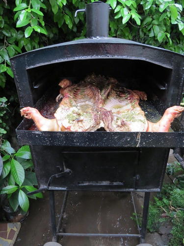 Imagen 5 de 7 de Horno A Leña Calor Envolvente Bandeja Enlozada 75 Cm X 60cm