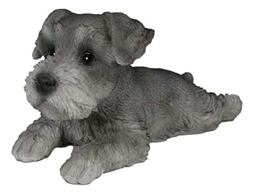 Realistic Adorable Grey Mini Schnauzer Dog Lying On Bel...